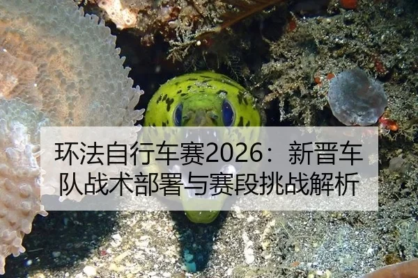 环法自行车赛2026：新晋车队战术部署与赛段挑战解析