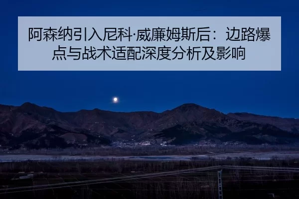 a-sen-na-yin-ru-ni-ke-wei-lian-mu-si-hou-bian-lu-bao-dian-yu-zhan-shu-shi-pei-shen-du-fen-xi-ji-ying-xiang-2-941.jpg